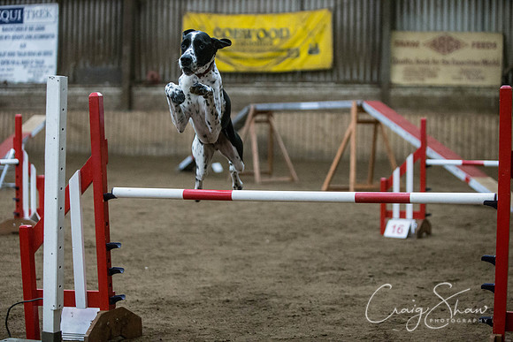 1311_springfling2015_bluplanetphoto