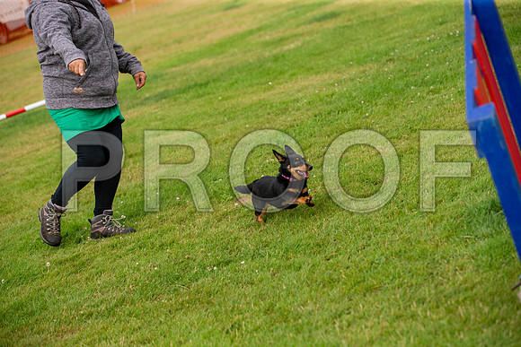 0301_SpringersFunDay2019_craigshawphoto