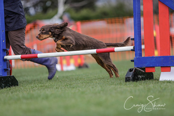 446__SpringersFunDay_March2014_bluplanetphoto