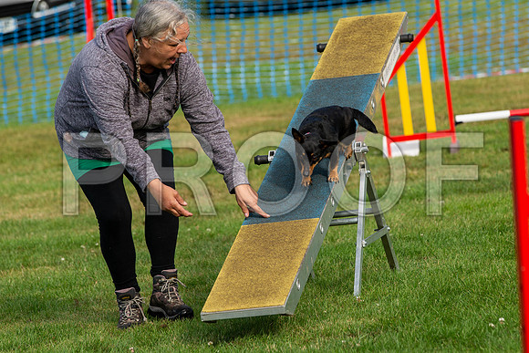 0070_SpringersFunDay2019_craigshawphoto