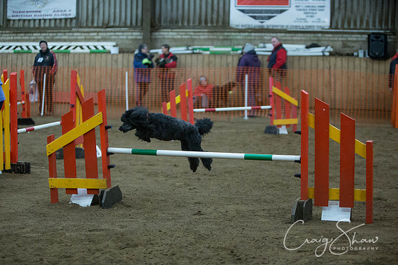 2616_springfling2015_bluplanetphoto