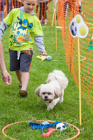 RSPCA Dog Day Afternoon