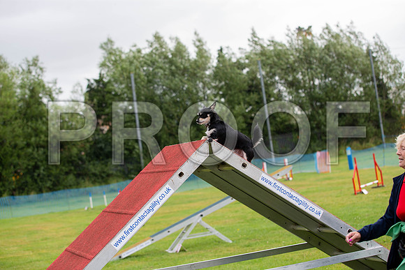 0319_SpringersFunDay2019_craigshawphoto