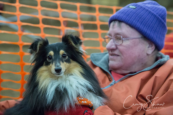 2787_springfling2015_bluplanetphoto