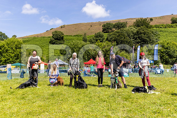 2025__PAWSFundogShow_July2022_cshaw