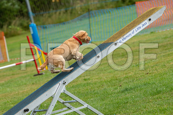 1715_SpringersFunDay2019_craigshawphoto