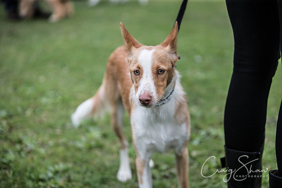 156_BarkintheParkHuddersfield_2014_bluplanetphoto