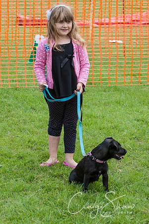RSPCA Dog Day Afternoon