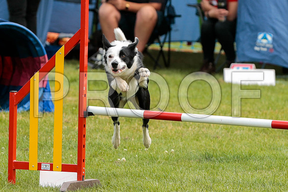 2562_SpringersFunDay2019_craigshawphoto