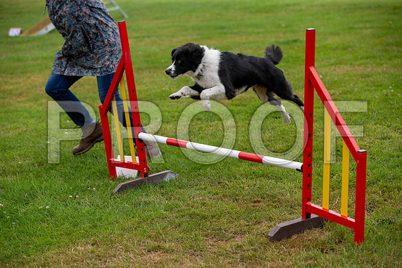 1066_SpringersFunDay2019_craigshawphoto