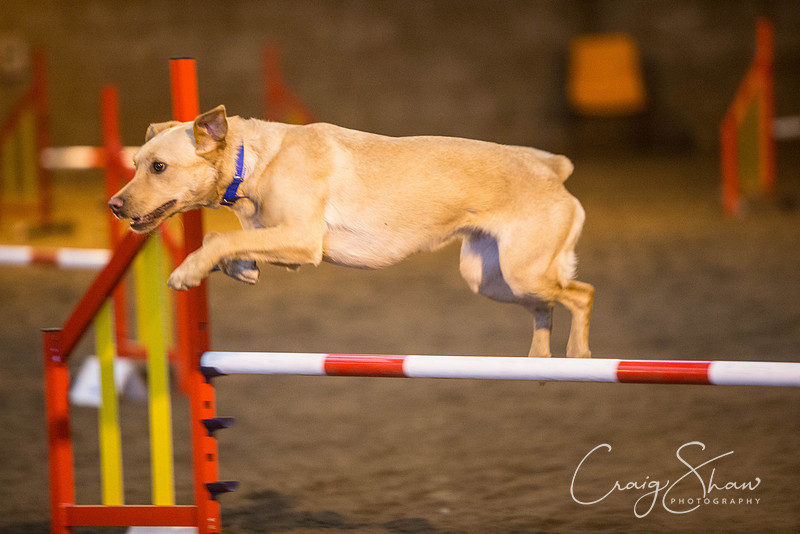 126_springfling2015_bluplanetphoto