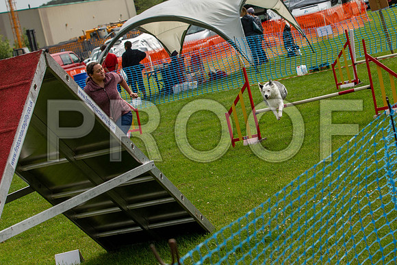 1618_SpringersFunDay2019_craigshawphoto