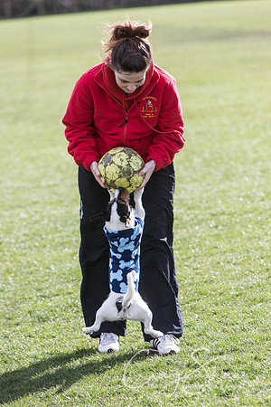 1143__SpringersFunDay_March2014_bluplanetphoto