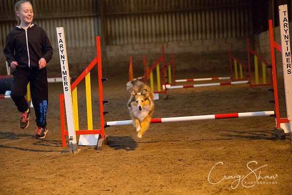 356_springfling2015_bluplanetphoto