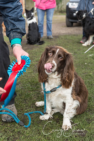 661__SpringersFunDay_March2014_bluplanetphoto