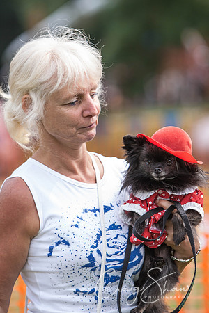 RSPCA Dog Day Afternoon