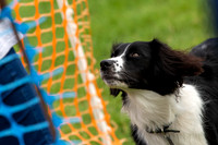 1298_SpringersFunDay2019_craigshawphoto
