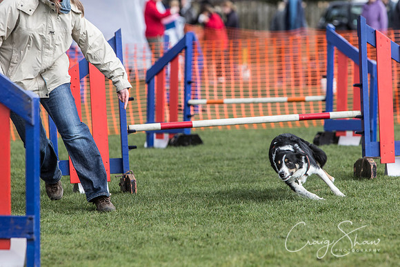 668__SpringersFunDay_March2014_bluplanetphoto