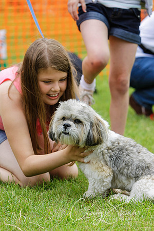 RSPCA Dog Day Afternoon