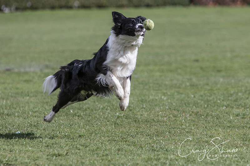 1335__SpringersFunDay_March2014_bluplanetphoto