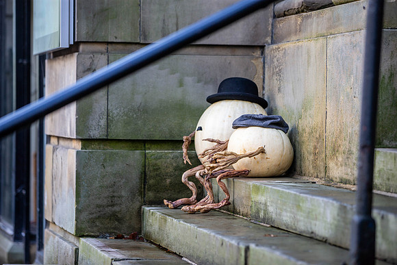 1228_HebdenPumpkinTrail2024_Cshaw-