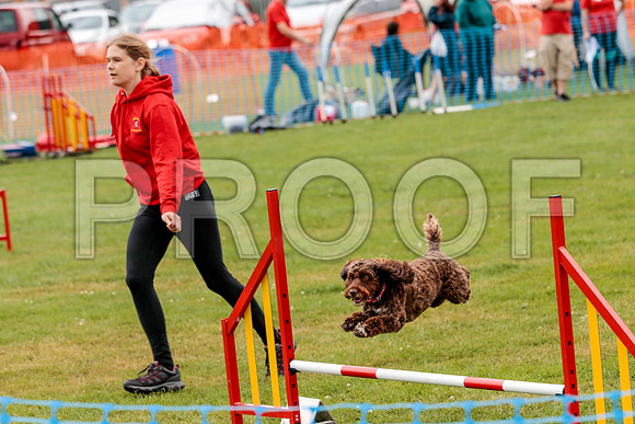 2634_SpringersFunDay2019_craigshawphoto