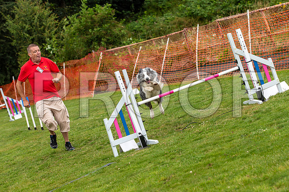 2070_SpringersFunDay2019_craigshawphoto-2