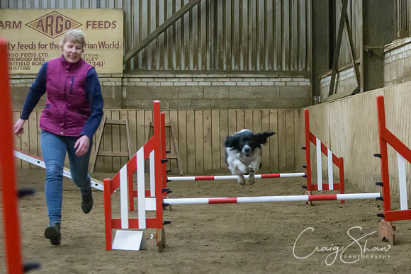 2718_springfling2015_bluplanetphoto