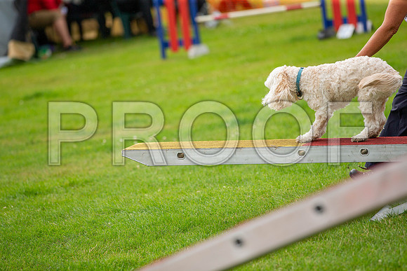 1050_SpringersFunDay2019_craigshawphoto