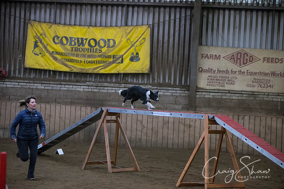 1275_springfling2015_bluplanetphoto