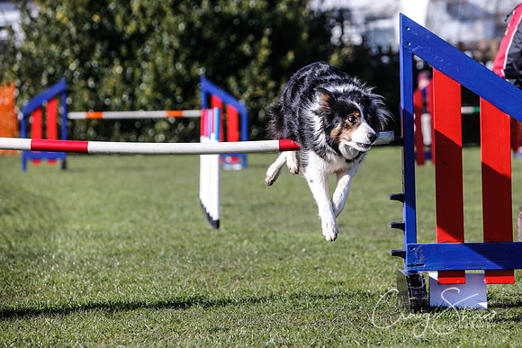 1653__SpringersFunDay_March2014_bluplanetphoto