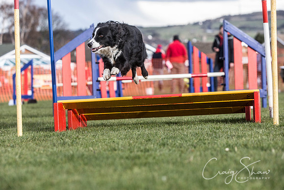 2227__SpringersFunDay_March2014_bluplanetphoto
