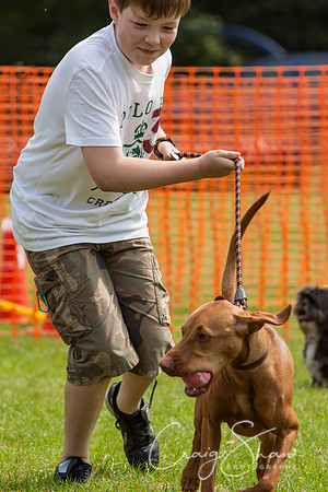 RSPCA Dog Day Afternoon