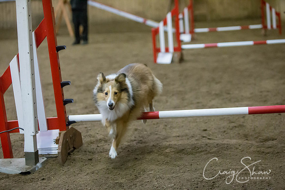 2762_springfling2015_bluplanetphoto