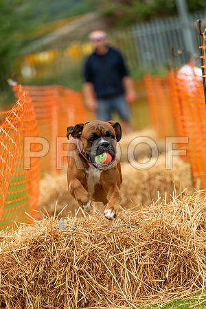 2961_SpringersFunDay2019_craigshawphoto