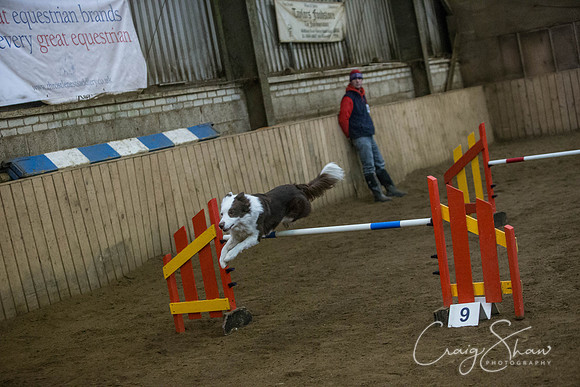 1763_springfling2015_bluplanetphoto