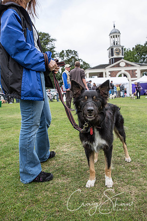 200_BarkintheParkHuddersfield_2014_bluplanetphoto