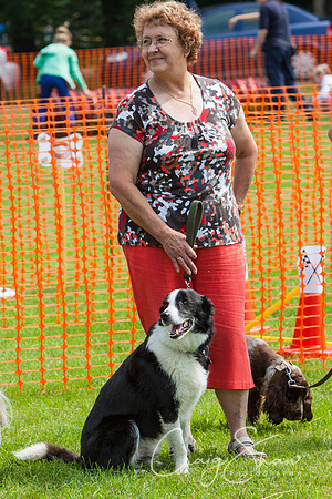 RSPCA Dog Day Afternoon