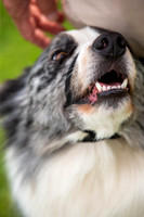 0636_SpringersFunDay2019_craigshawphoto