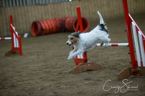 1364_springfling2015_bluplanetphoto