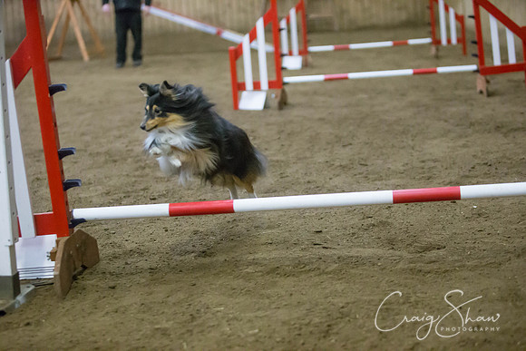 2751_springfling2015_bluplanetphoto