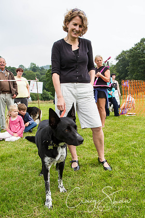 RSPCA Dog Day Afternoon