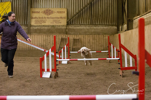 2574_springfling2015_bluplanetphoto