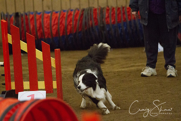 spring fling 2012-1028