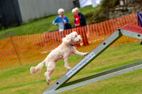 1040_SpringersFunDay2019_craigshawphoto