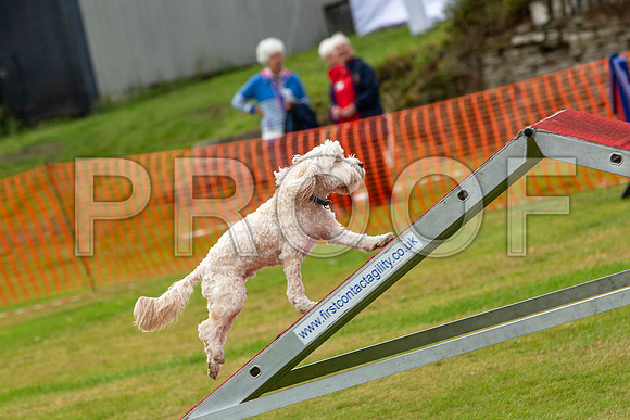 1040_SpringersFunDay2019_craigshawphoto