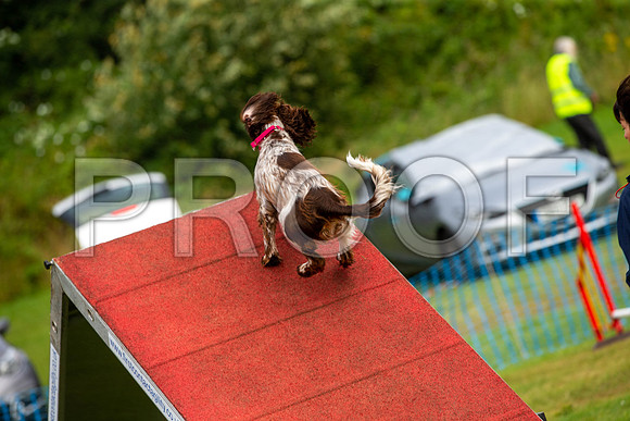 0481_SpringersFunDay2019_craigshawphoto