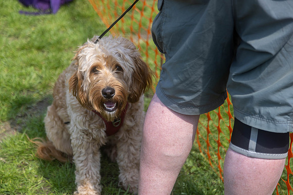2238_HebdensHappyHounds2024_Cshaw-