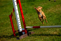 0132_SpringersFunDay2019_craigshawphoto