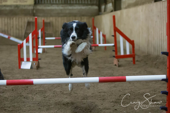 2625_springfling2015_bluplanetphoto